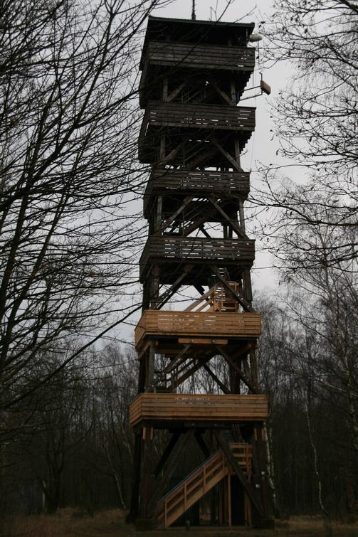 2008 feb 24 031.jpg - Mooi uitzicht vanaf de toren